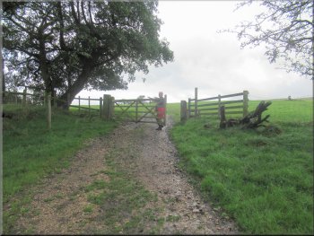 Following the farm track up to the gate into the next field